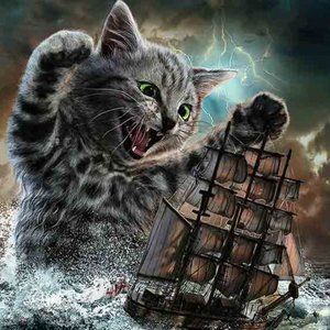 Meet your Posher, Kali